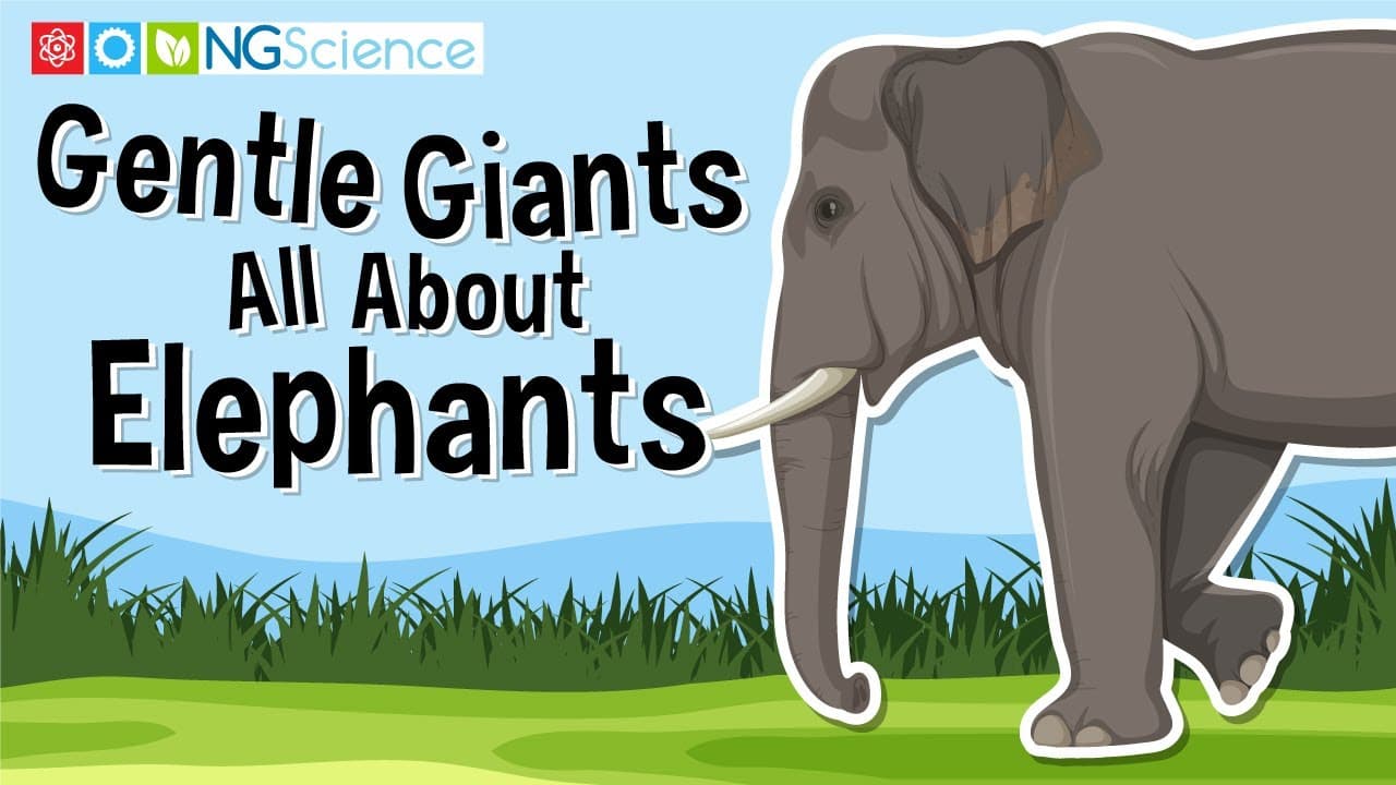 All About Elephants: Giants of the Savannah