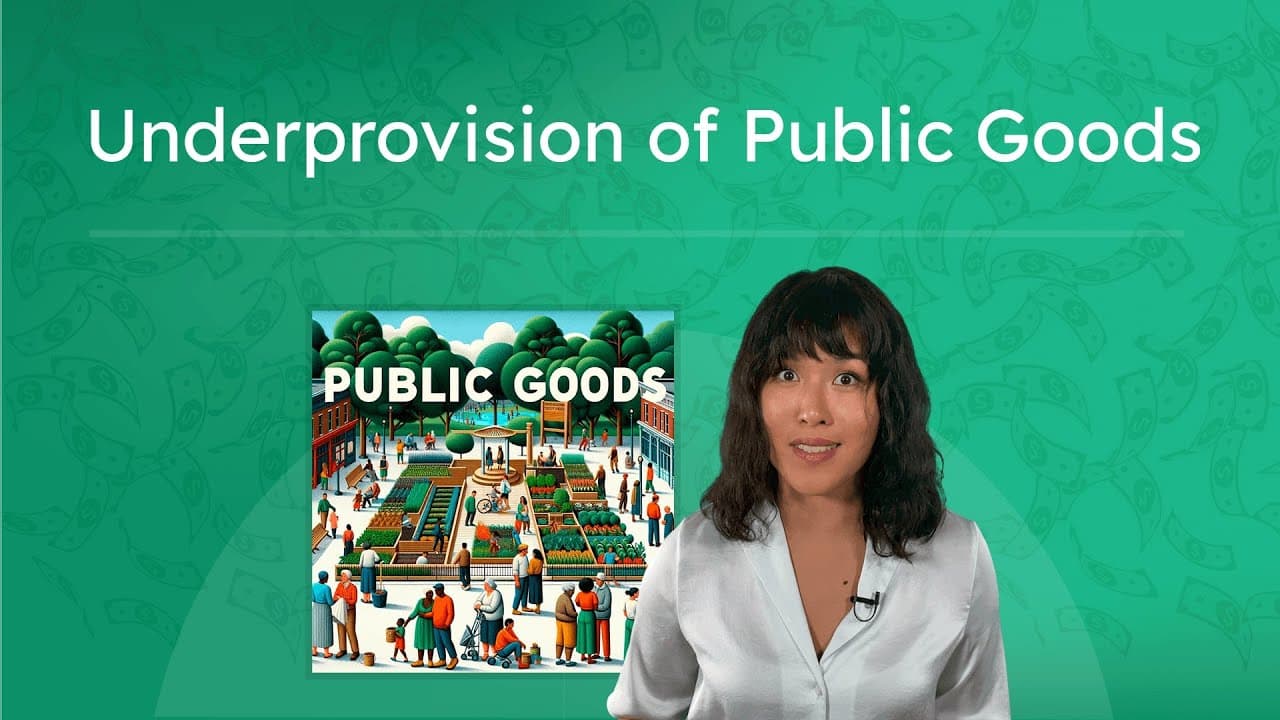 What Are Public Goods and Why Do We Need Them?