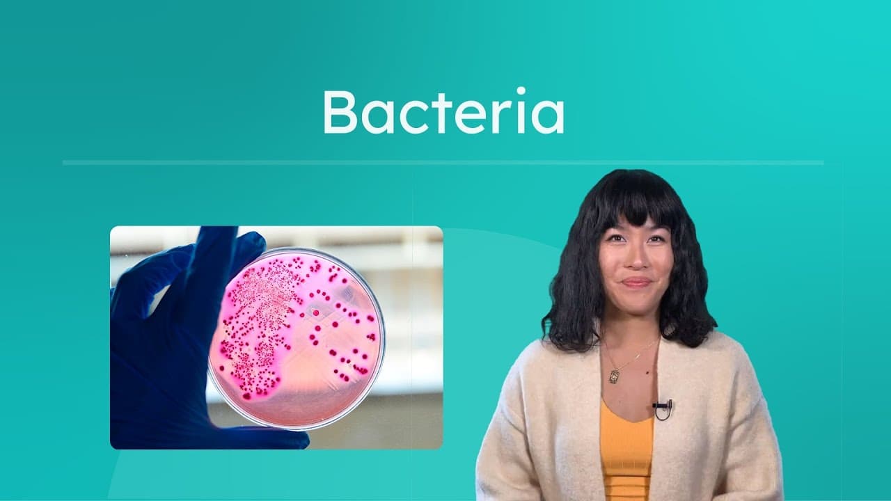Exploring the World of Bacteria: Structure, Survival, and Impact