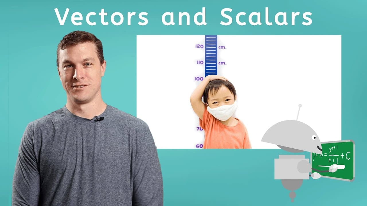 Distinguishing Between Vectors and Scalars in Physics