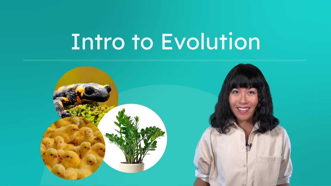 How Evolution and Adaptations Change Life Over Time