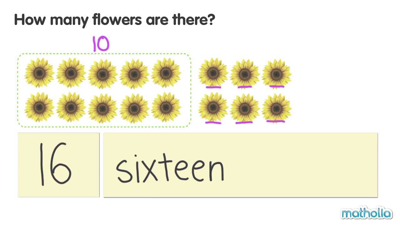 Counting Objects from 11 to 20