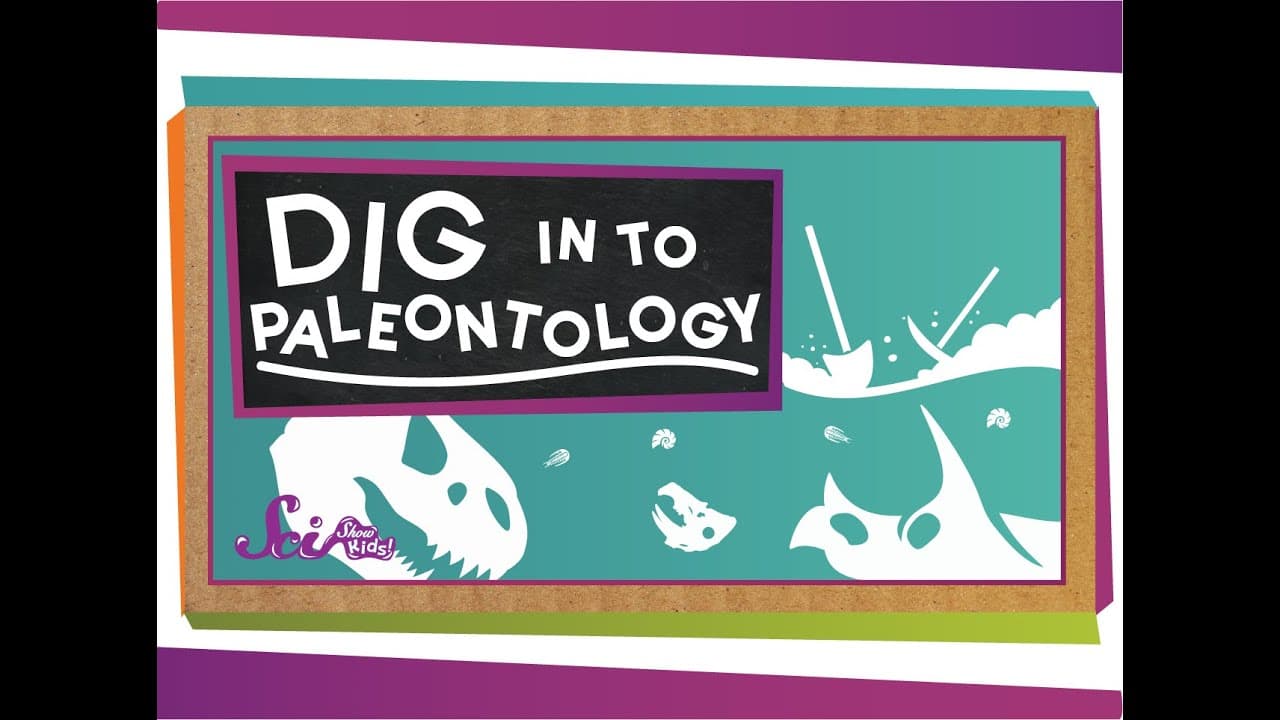 How Paleontologists Use Fossils to Study the Past