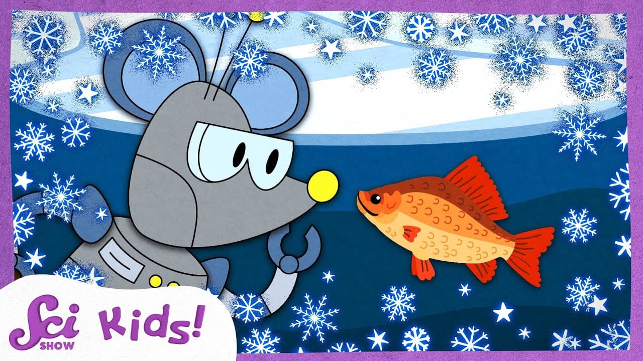 How Pond Animals Survive the Winter Freeze