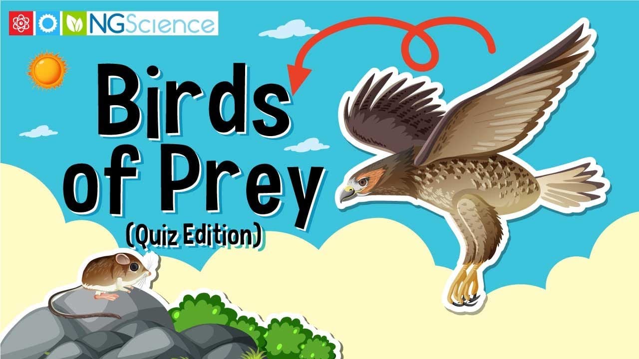 Exploring Birds of Prey: Adaptations and Survival