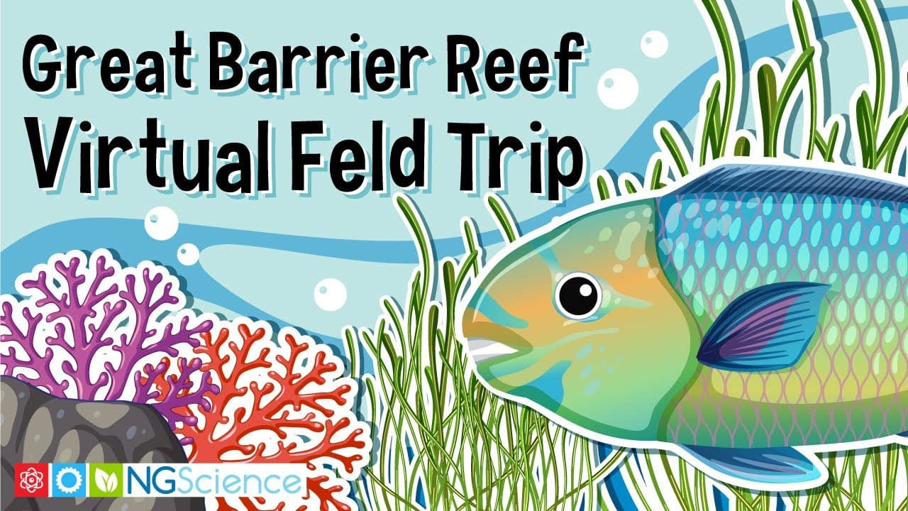 A Virtual Field Trip to the Great Barrier Reef