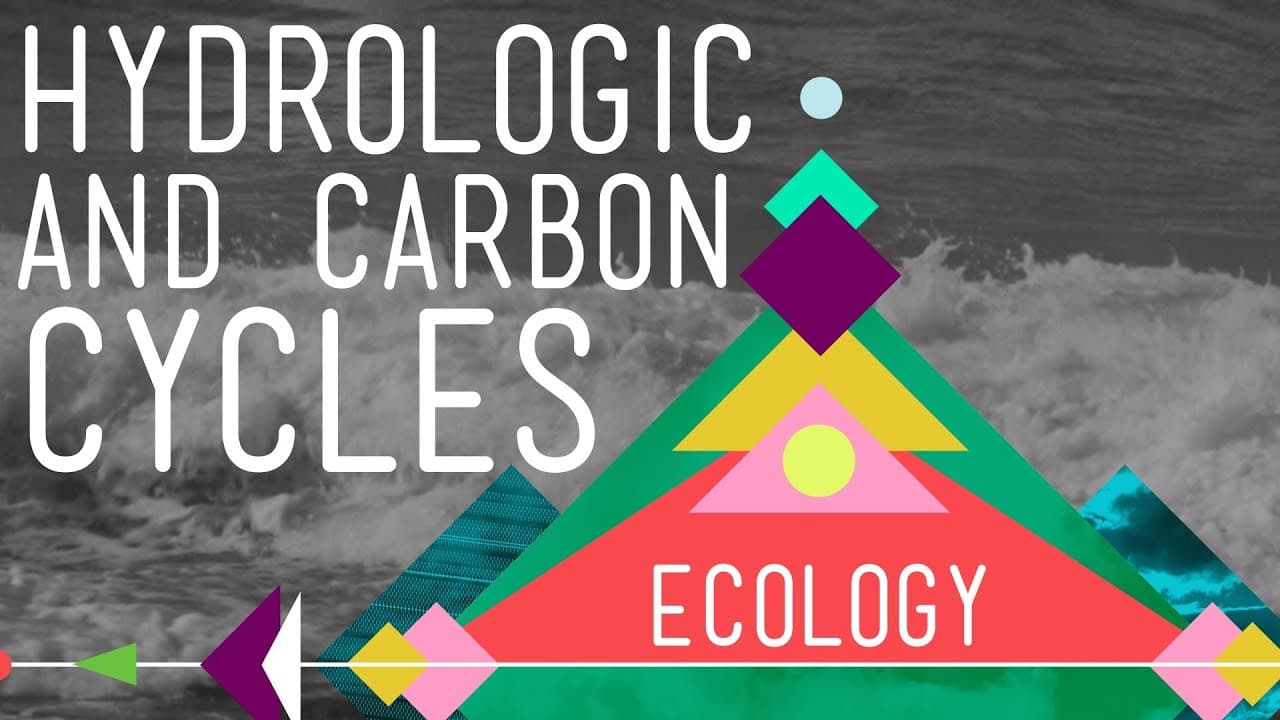How Water and Carbon Cycle Through Earth