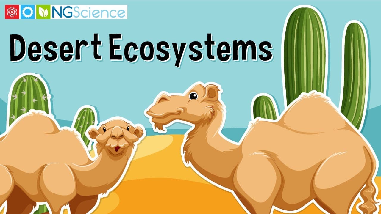 How Plants and Animals Survive in Desert Ecosystems