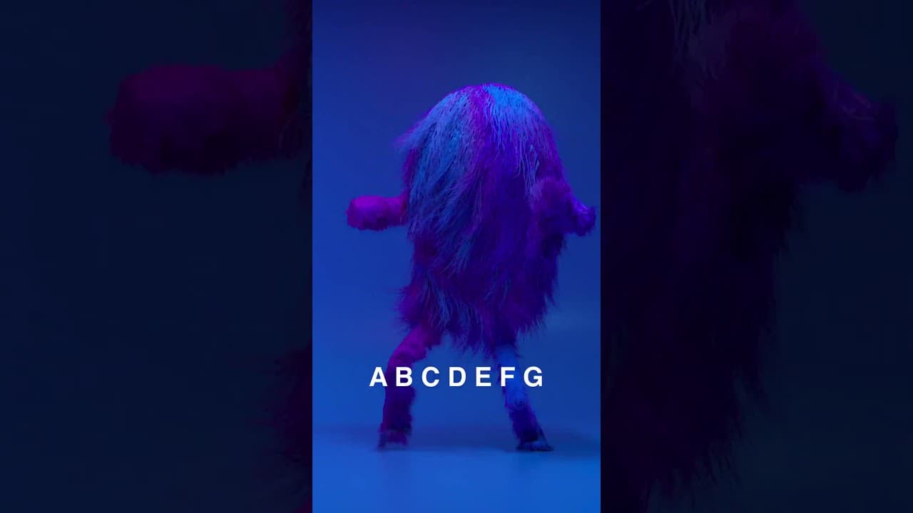 Dancing Through the Alphabet: Letters, Sounds, and Vowels