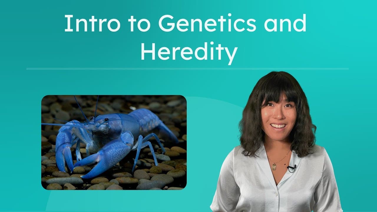 Introduction to Genetics: Blue Lobsters and Sickle Cell Traits
