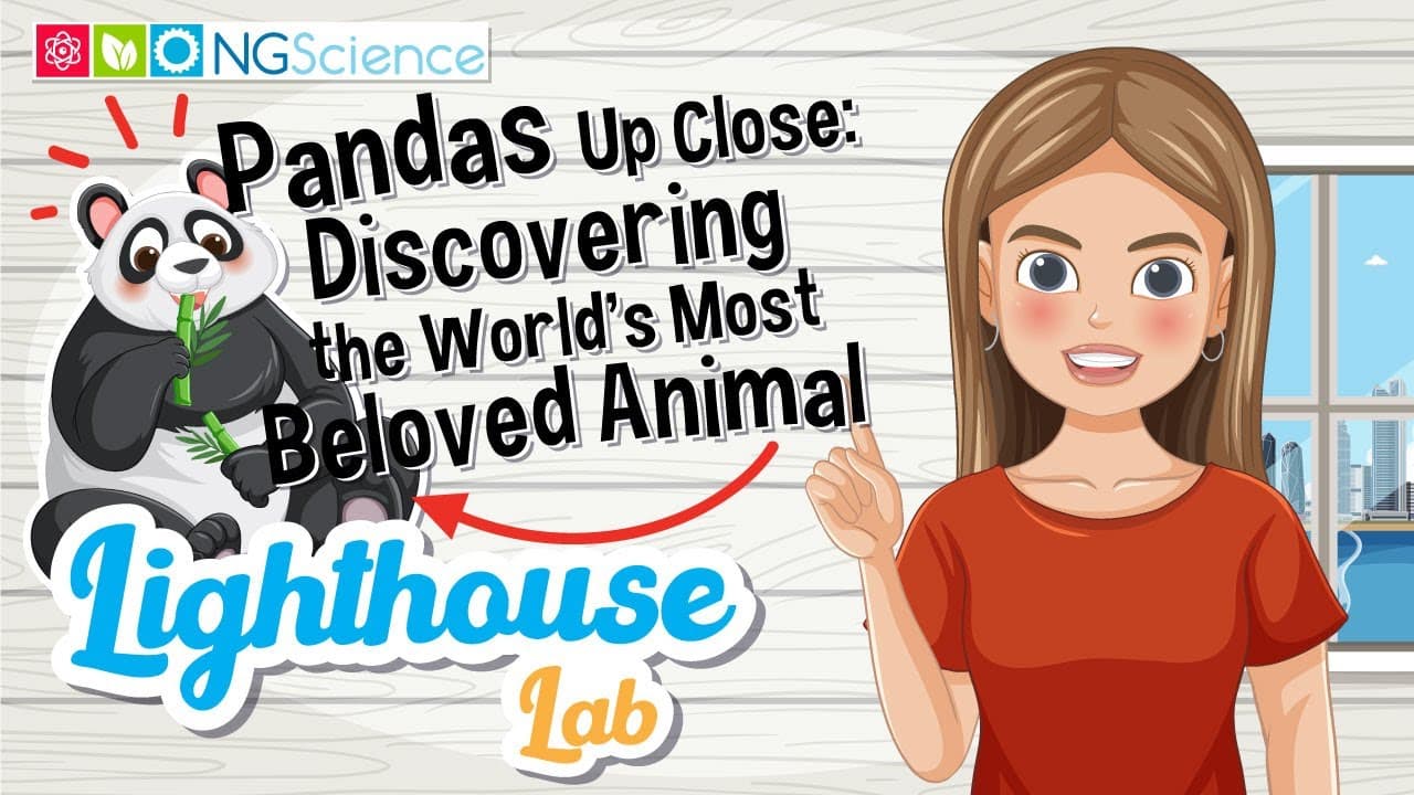 The Life Cycle and Habits of Giant Pandas