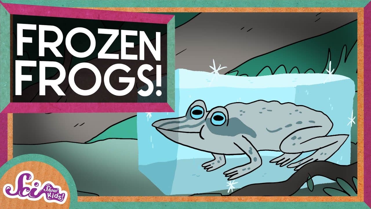 How Wood Frogs Freeze to Survive Winter