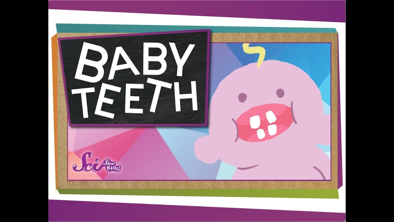 Why We Have Baby Teeth and How They Change