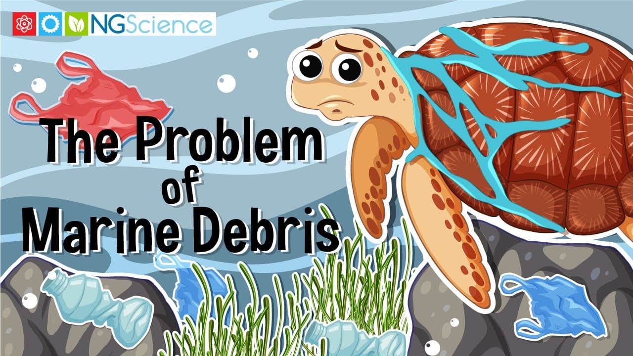 Understanding Marine Debris and How to Stop It