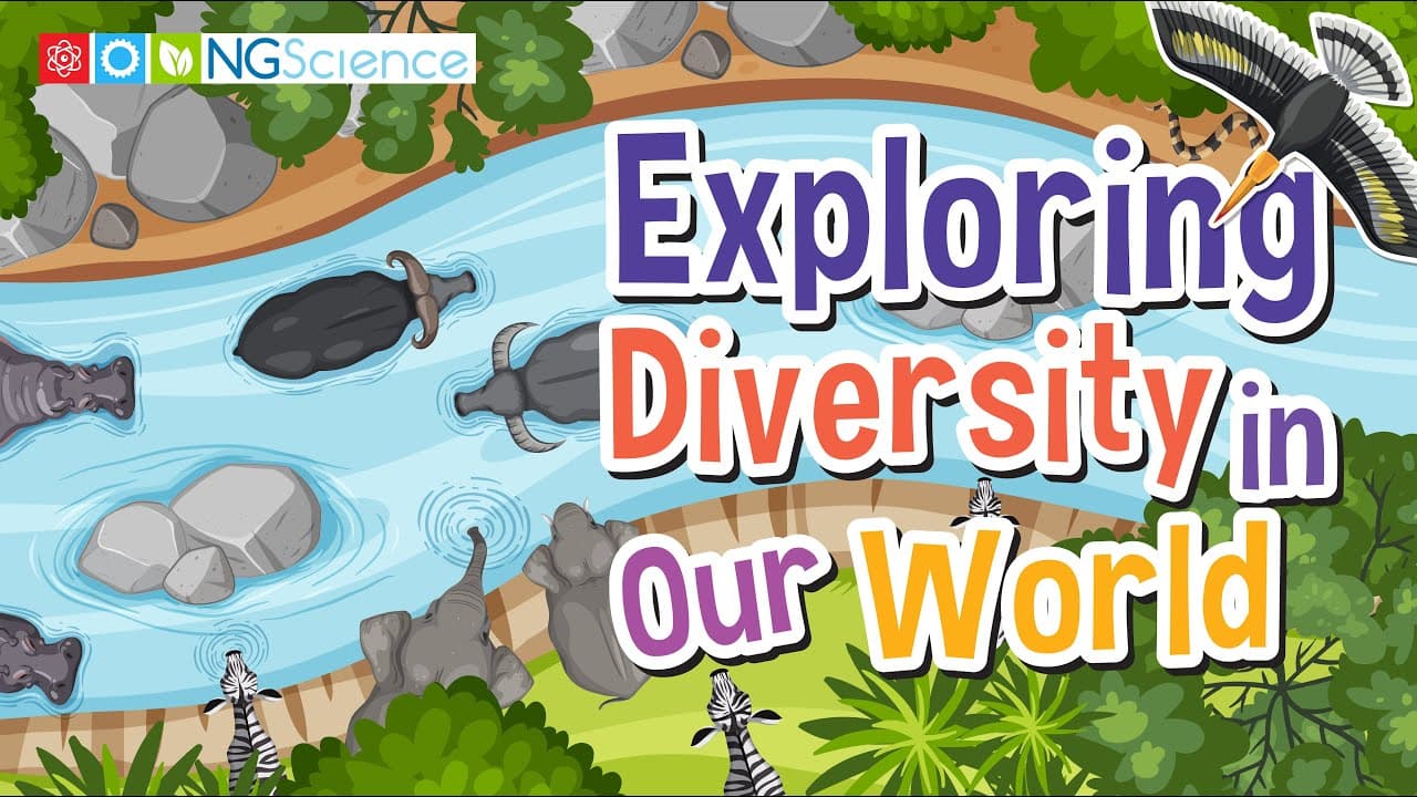 Classifying Living and Non-Living Things in Our World