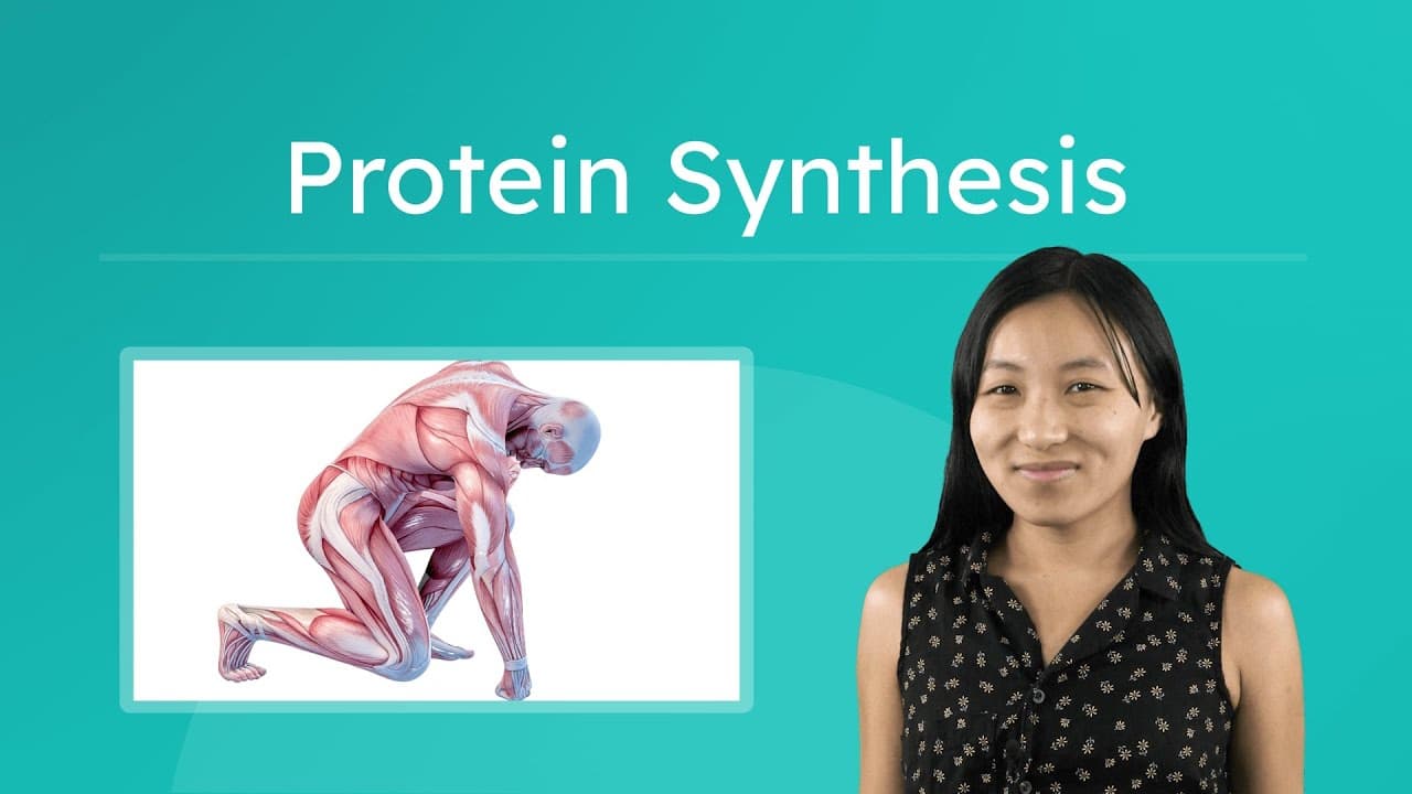 How Cells Build Proteins: The Process of Protein Synthesis
