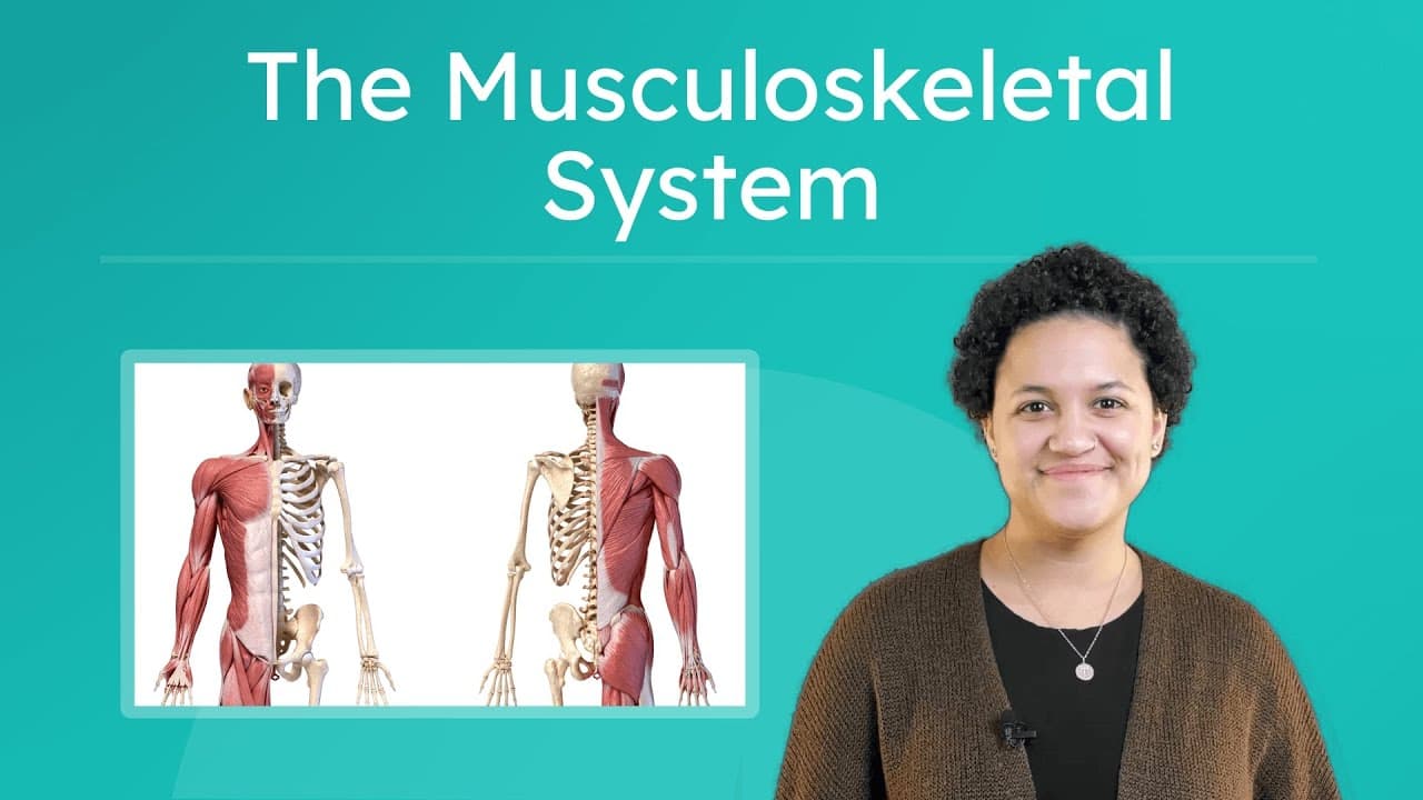 Exploring the Musculoskeletal System: How We Move