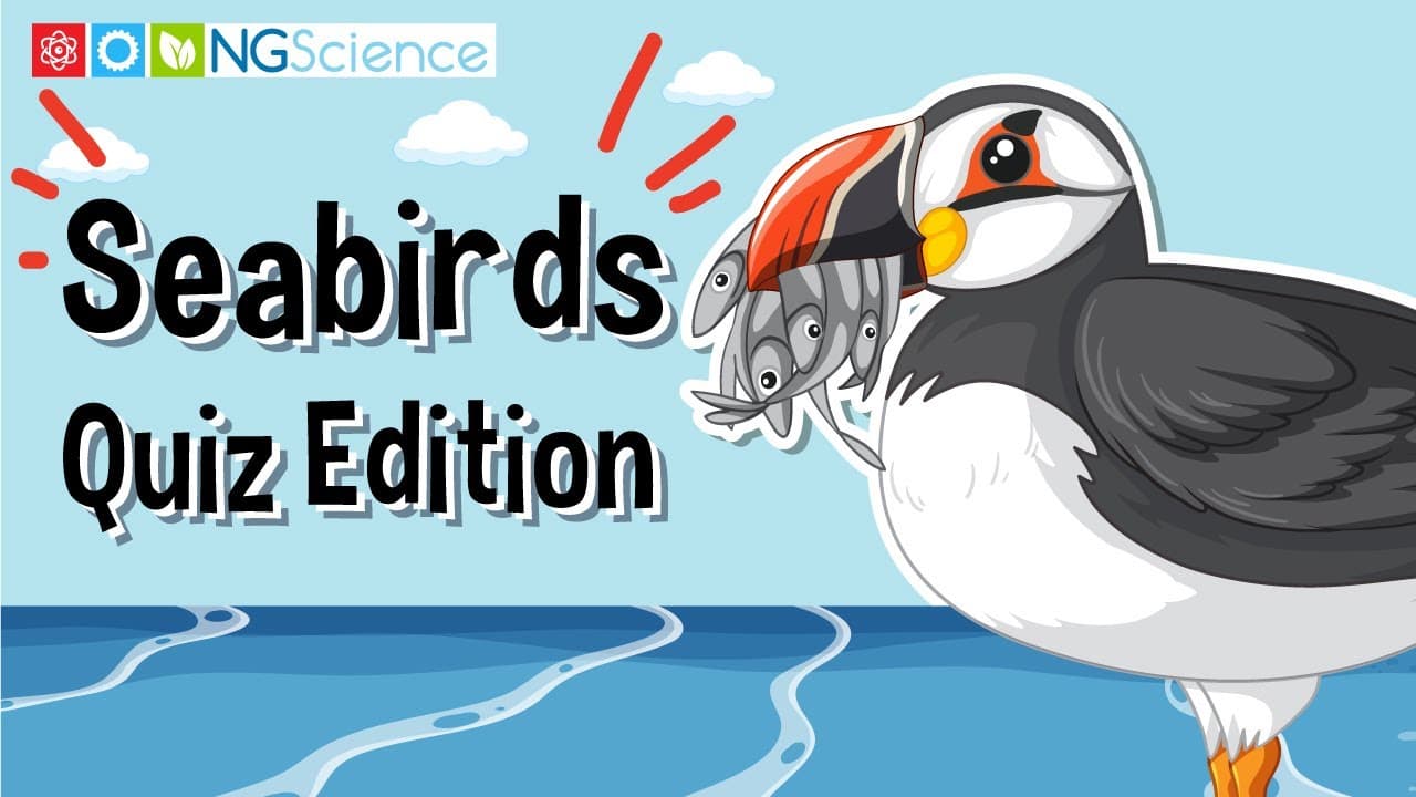 Discovering How Seabirds Adapt to Ocean Life