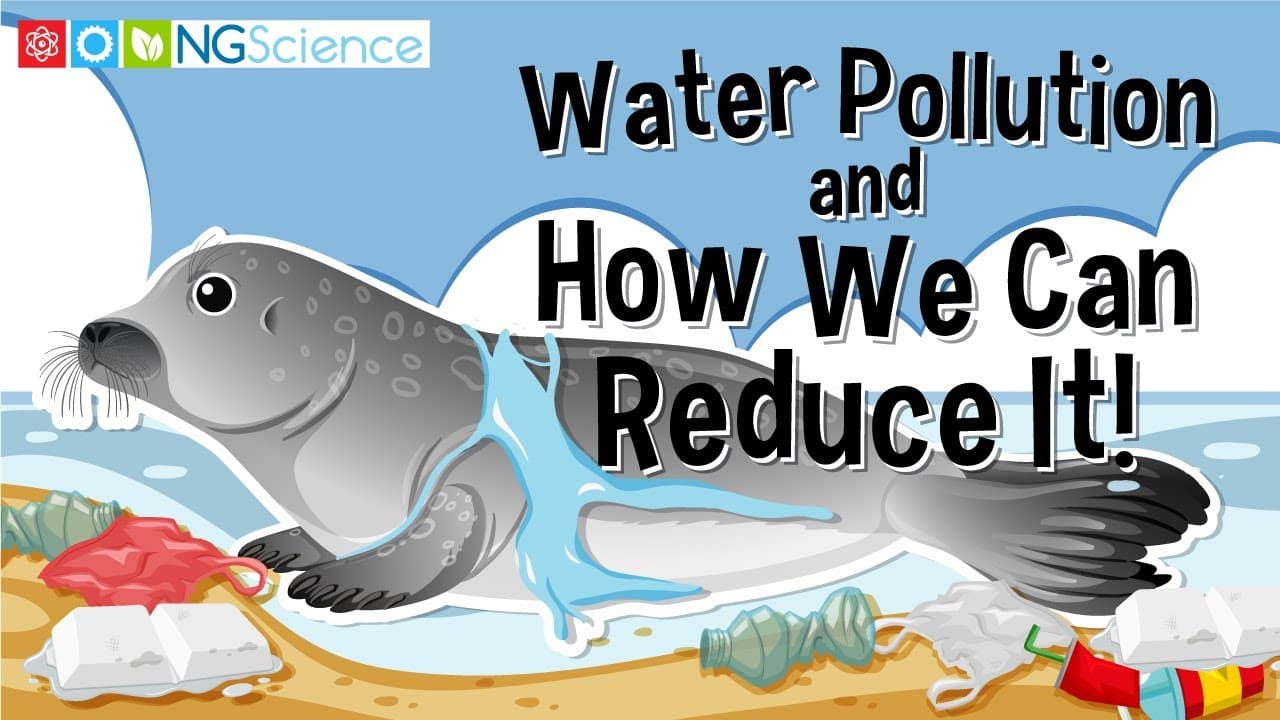 Understanding Water Pollution and How to Stop It