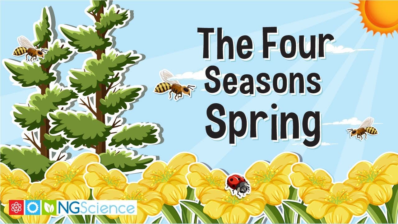 Exploring the Changes of Spring