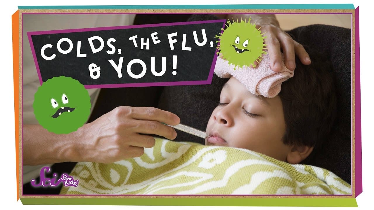 How the Flu Works and How Your Body Fights It
