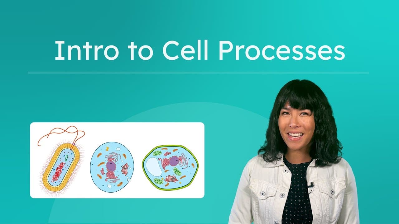 How Cell Processes Keep Living Things Alive and Connected