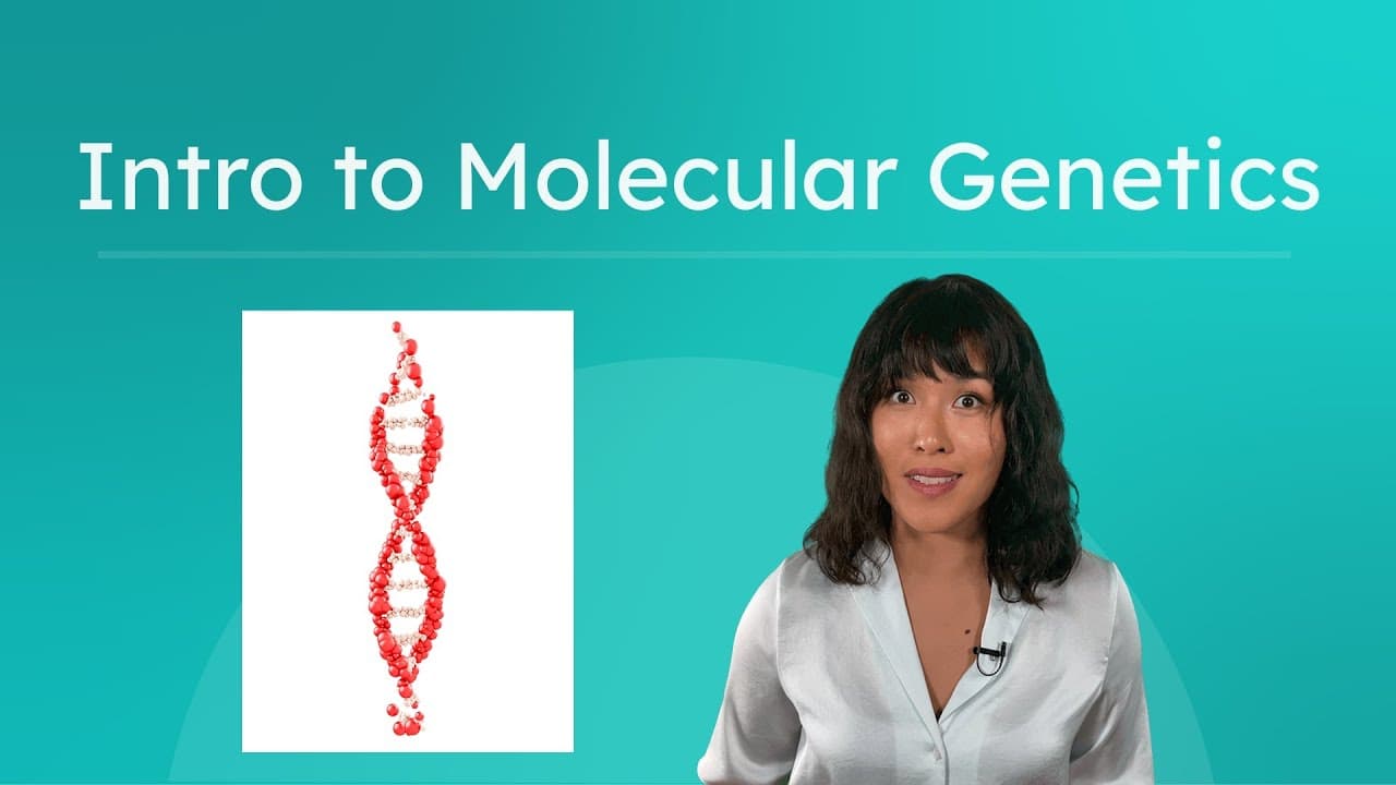 Introduction to Molecular Genetics: How DNA Builds Life