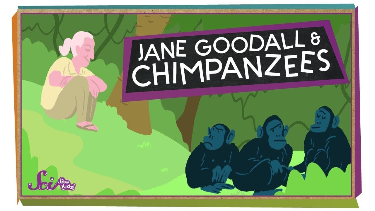 Jane Goodall and the World of Chimpanzees