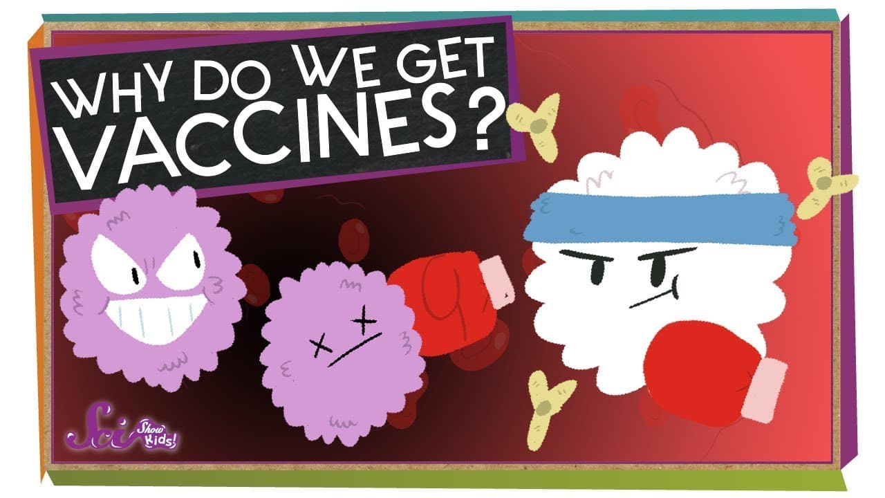 How Vaccines Train Your Body to Fight Germs