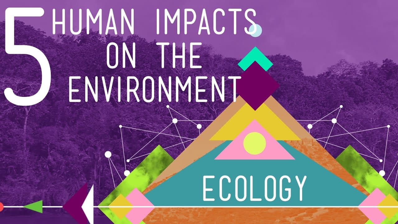 How Humans Impact the Environment and Biodiversity