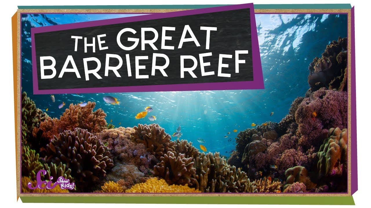 Exploring the Great Barrier Reef and Its Amazing Animals