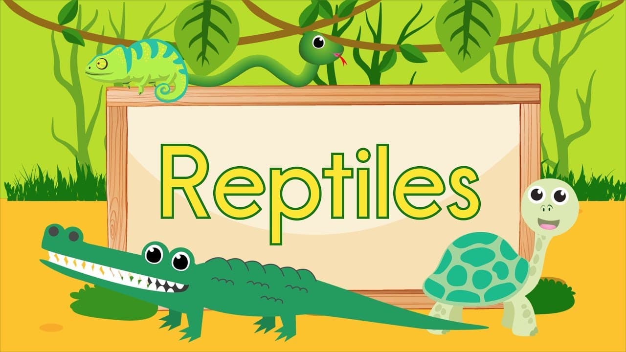 Meet the Reptiles: A Musical Introduction