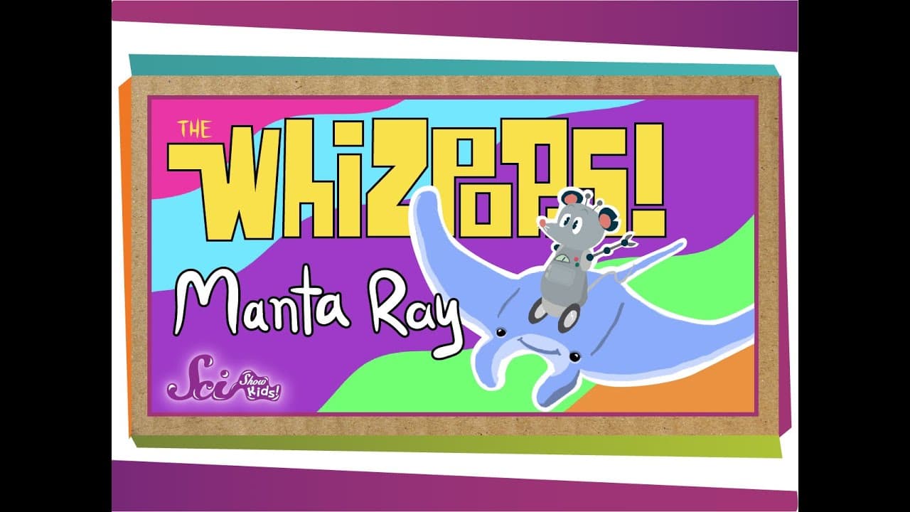 Exploring the Life of Manta Rays Through Song