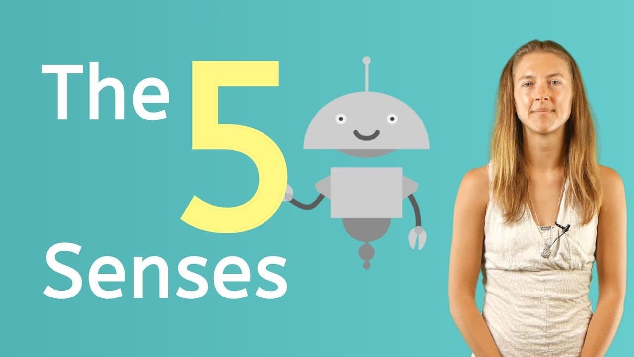 How Your Five Senses Help You Explore the World
