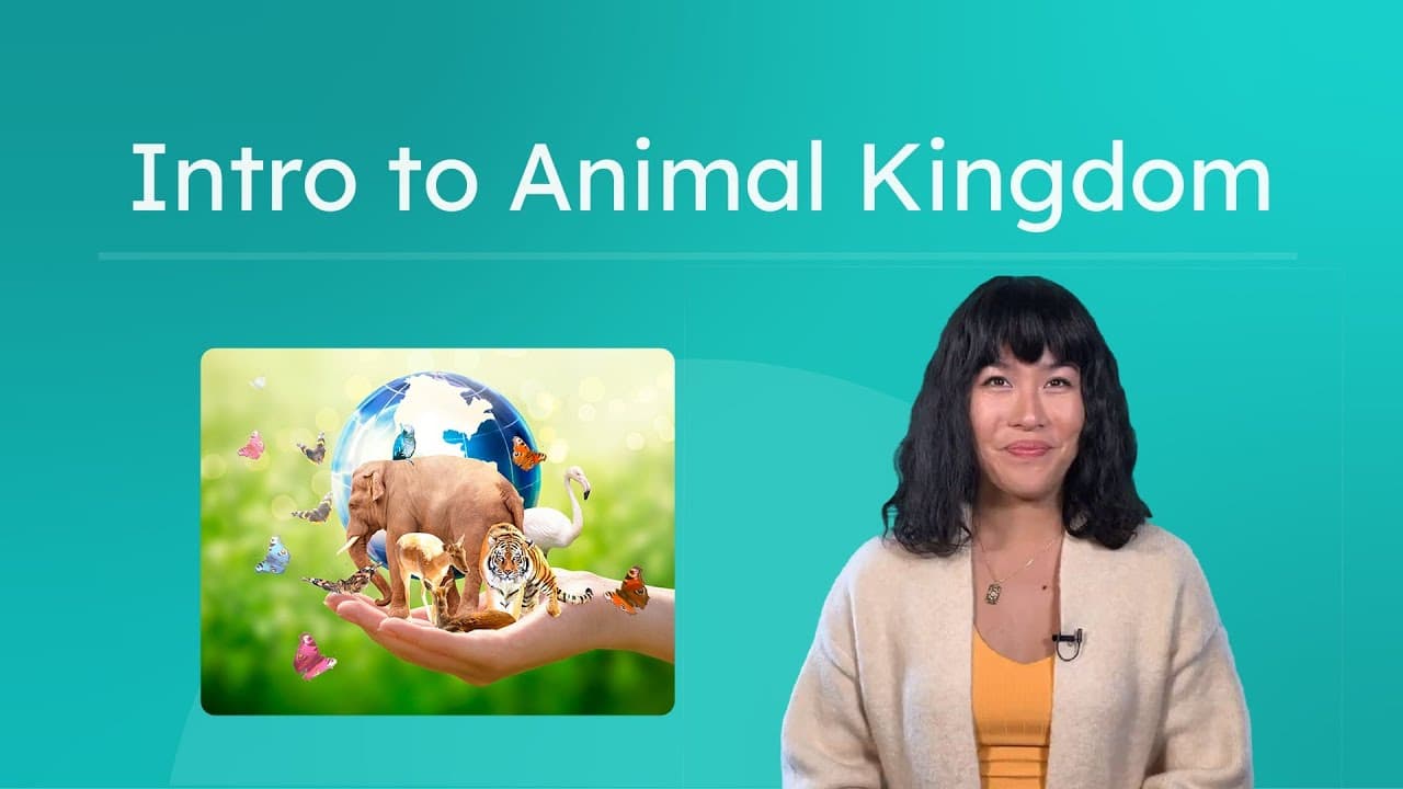 Introduction to the Animal Kingdom and Its Classifications