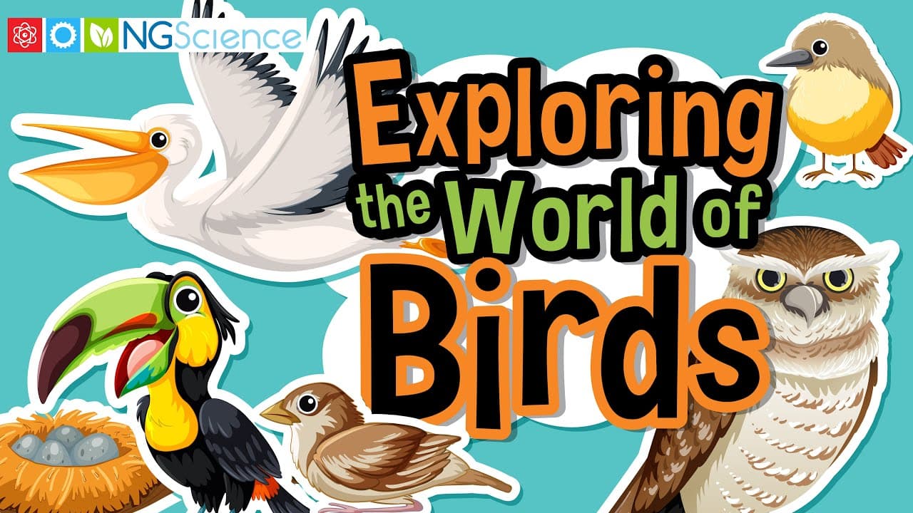 Exploring the Diverse World of Birds