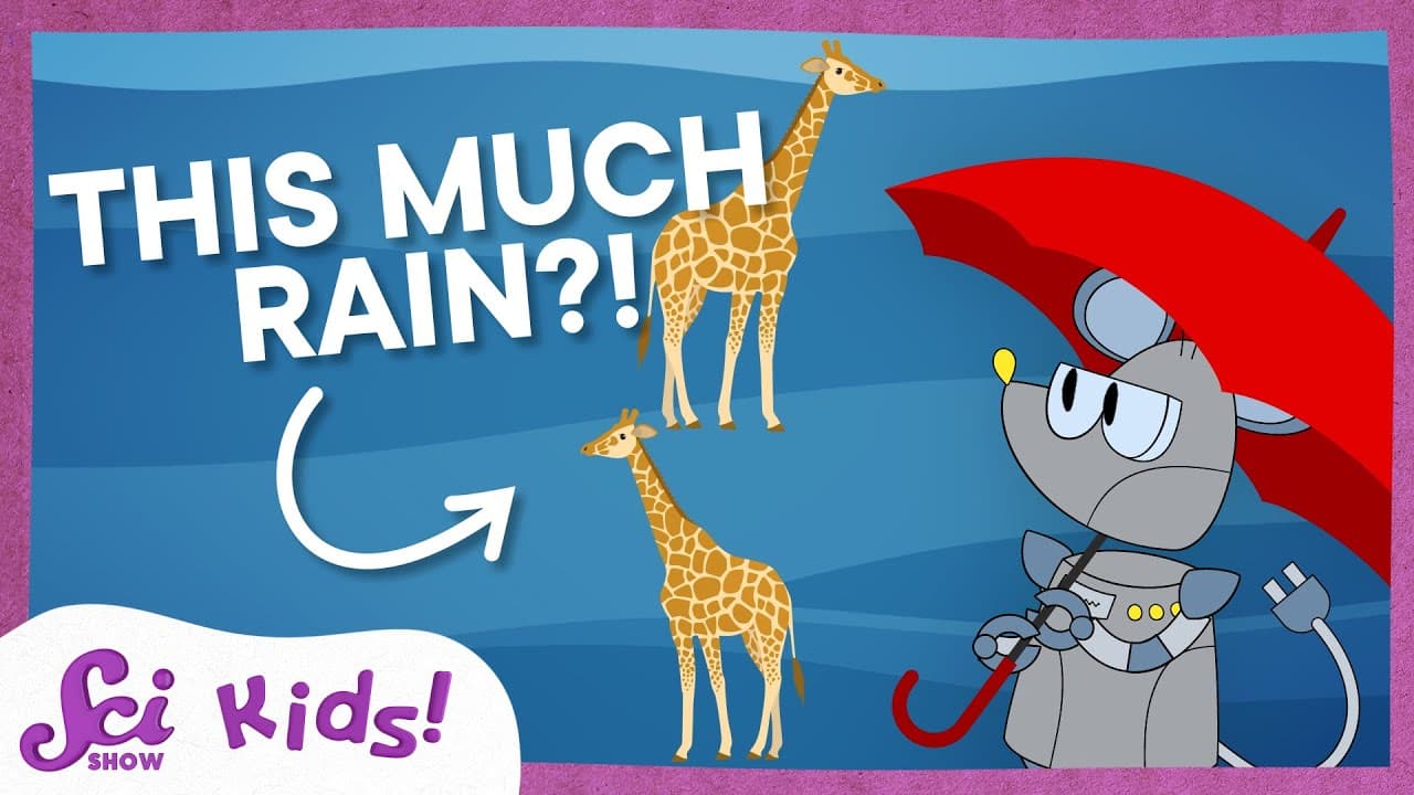 Exploring the World's Rainiest Places and Measuring Rainfall