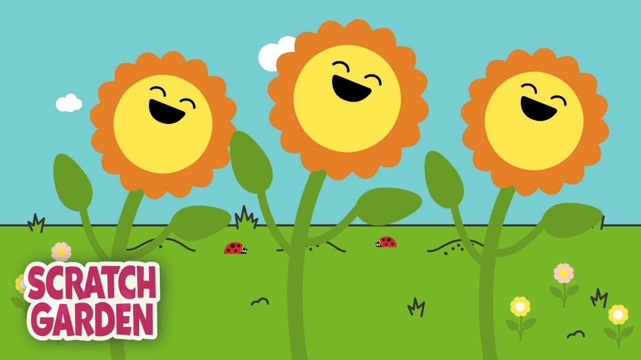 Explaining the Parts of a Plant and Their Functions