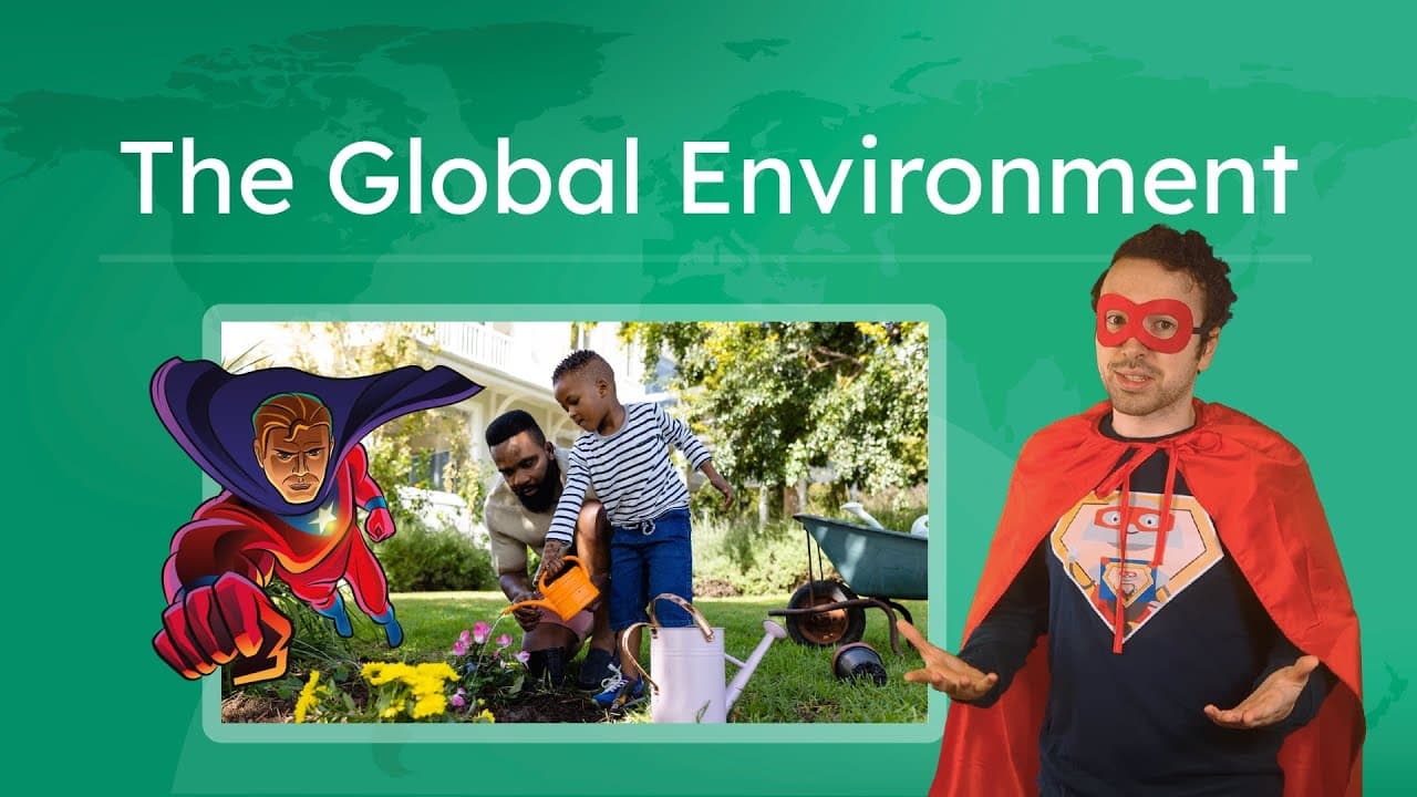 How International Organizations Protect the Environment