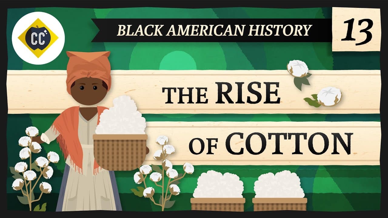 How Cotton Became King: The Economics of Slavery