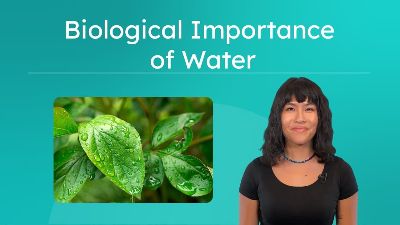 Why Water Is Essential for Life: A Molecular Look