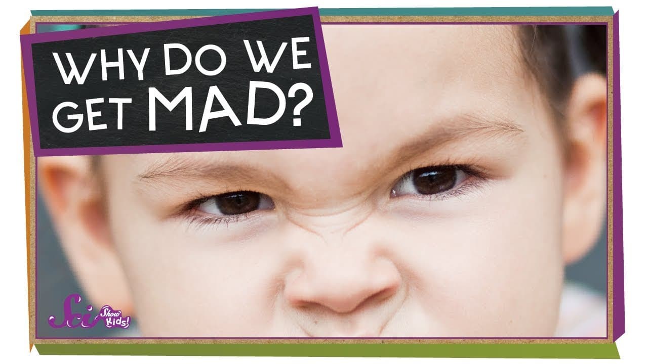 What Happens to Your Body When You Get Angry