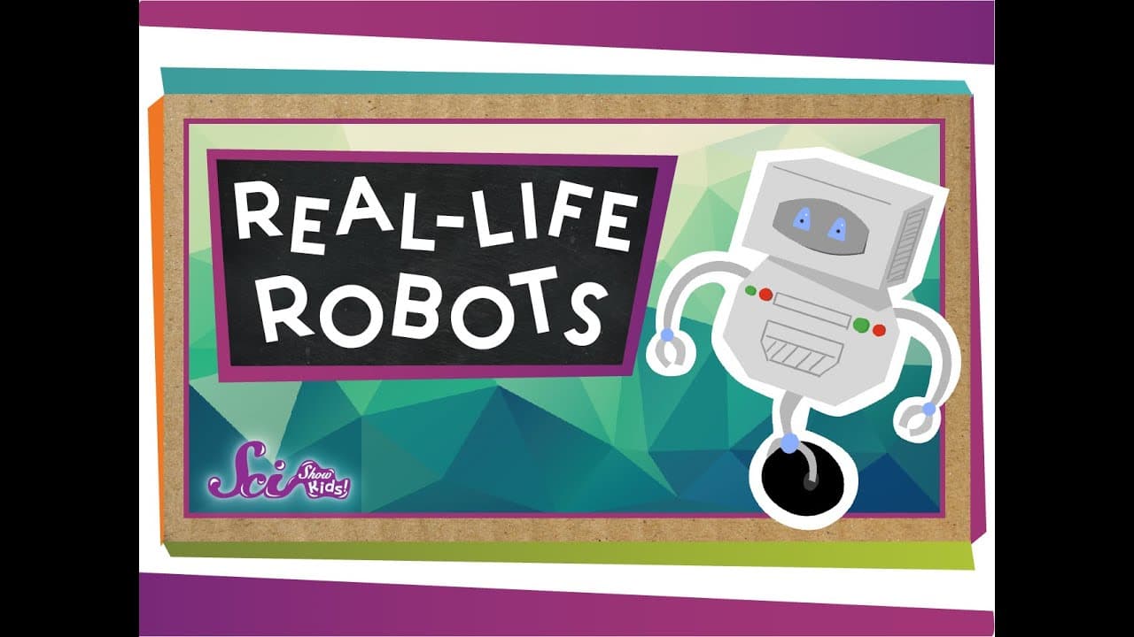 Exploring What Robots Are and What They Do