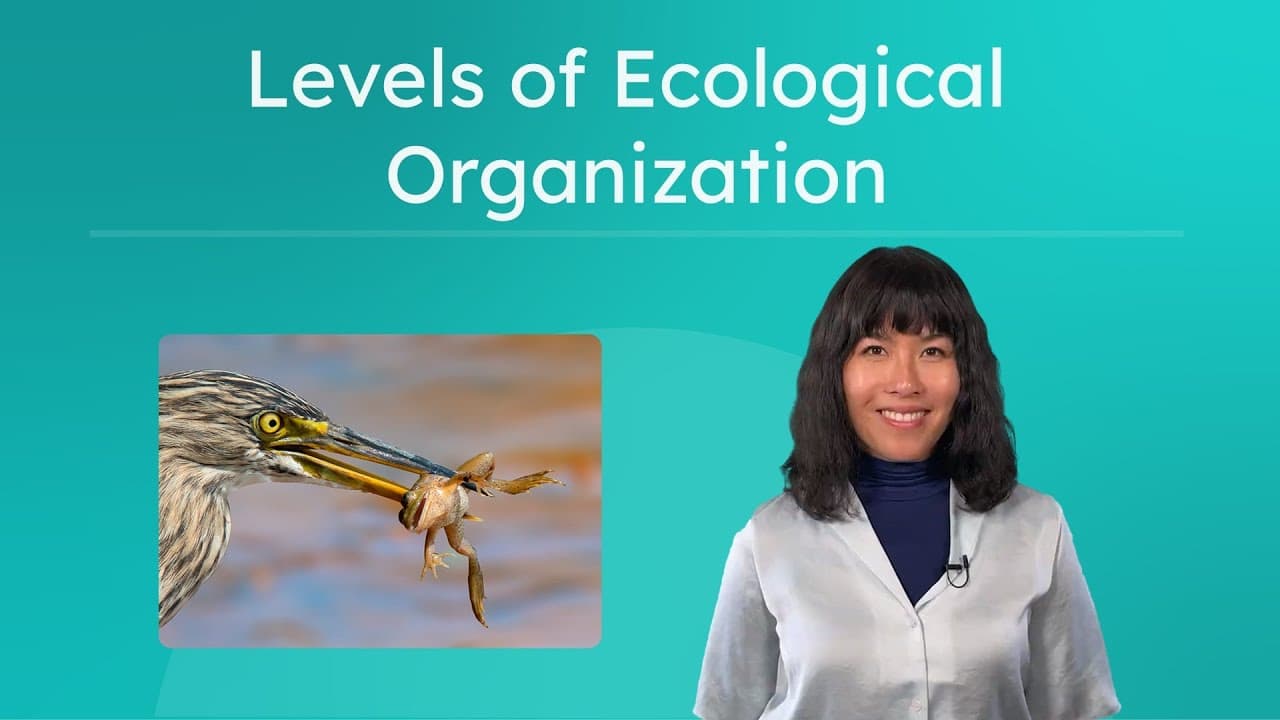 How Nature Is Organized: From Communities to the Biosphere