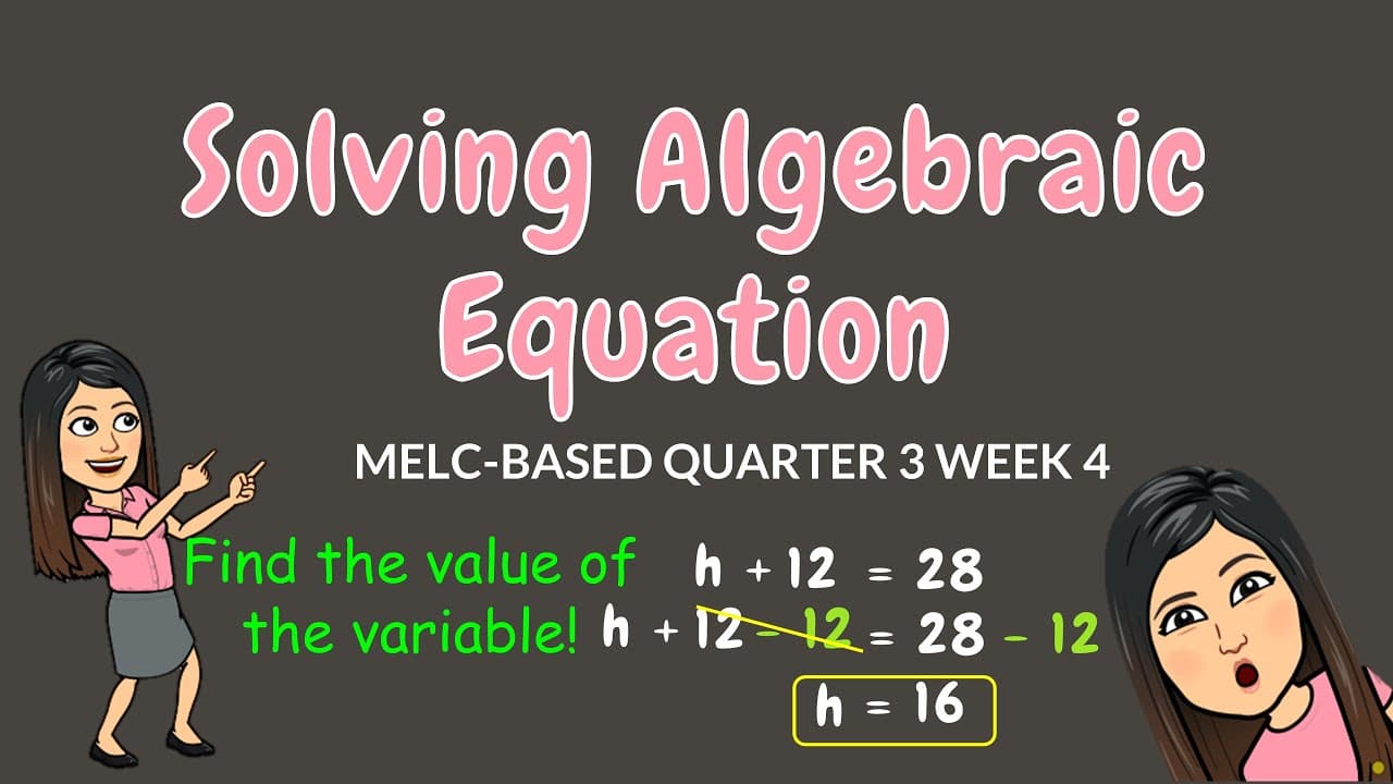 Solving Algebraic Equations Step by Step