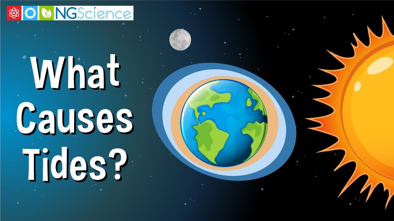 How Gravity Causes Spring and Neap Tides