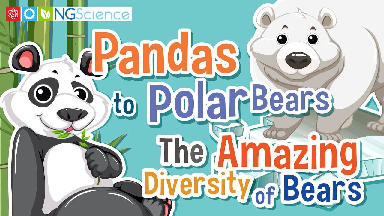 The Amazing Diversity of Bears: From Pandas to Polar Bears