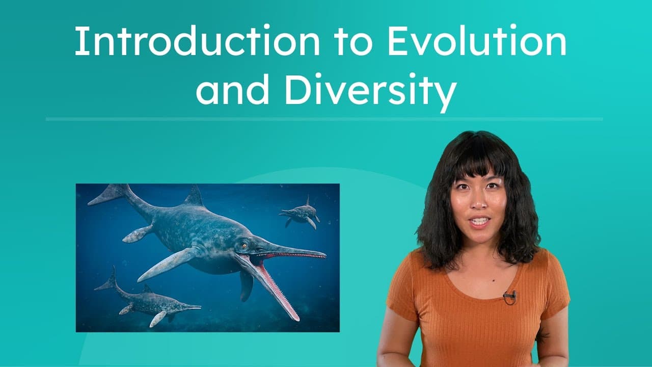 How Evolution Creates Biodiversity