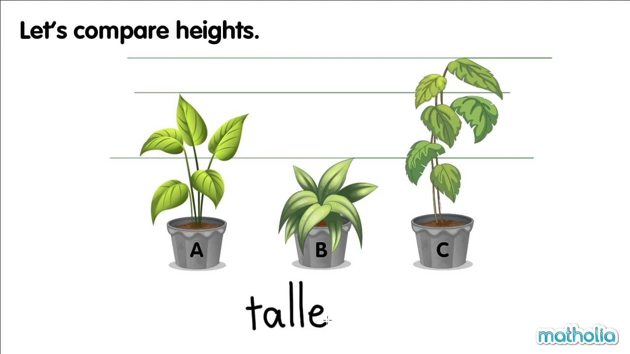 Comparing Length and Height: Longer, Shorter, Taller