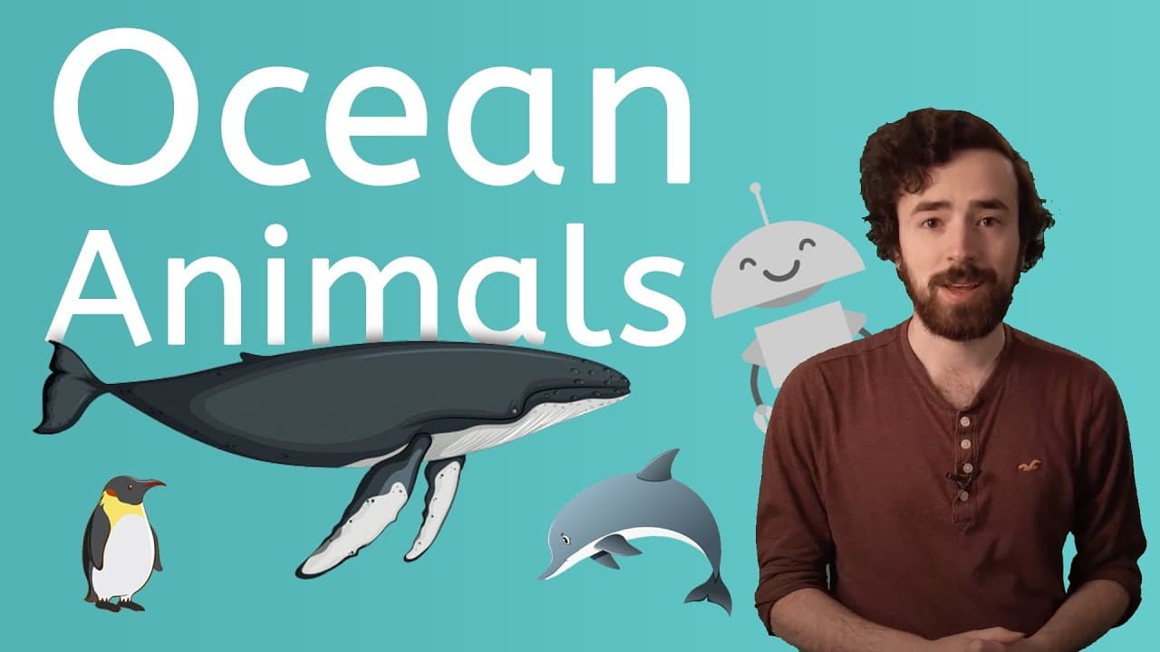 Exploring the Amazing Animals of the Ocean